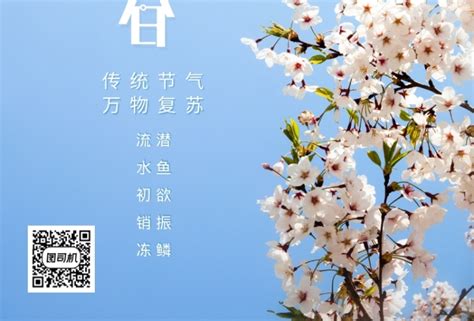 春袋有痣|为什么叫春袋？广东话春袋的意思